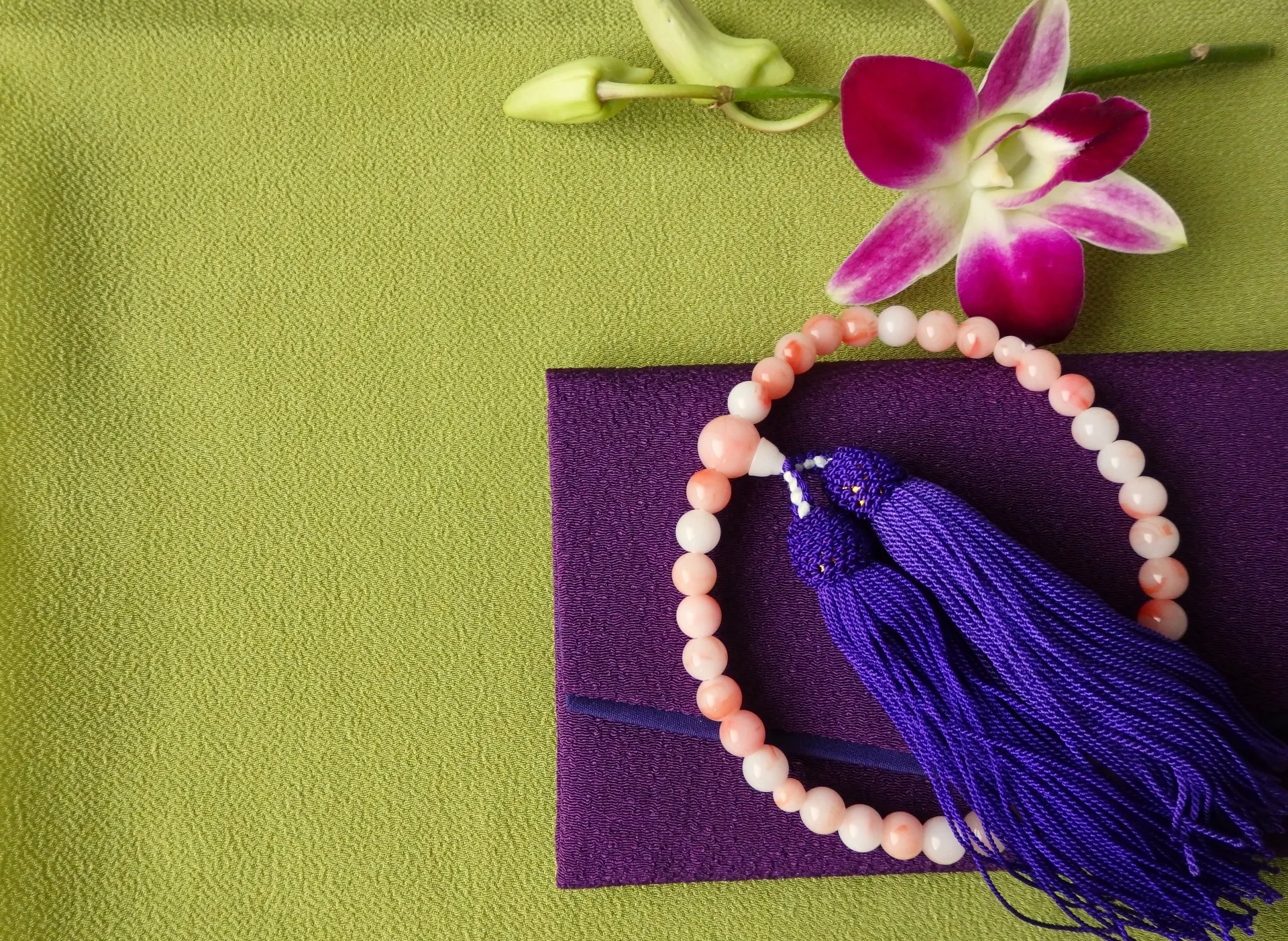 失敗しない葬儀情報を東京都八王子市で見極めるための費用節約と補助金活用の実践知識